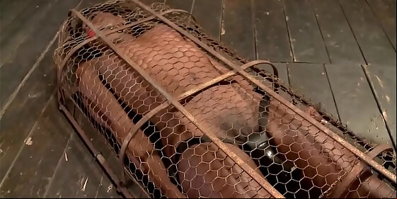 ebony slave gets vibrated in cage